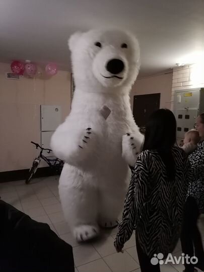 Белый мишка на поздравление