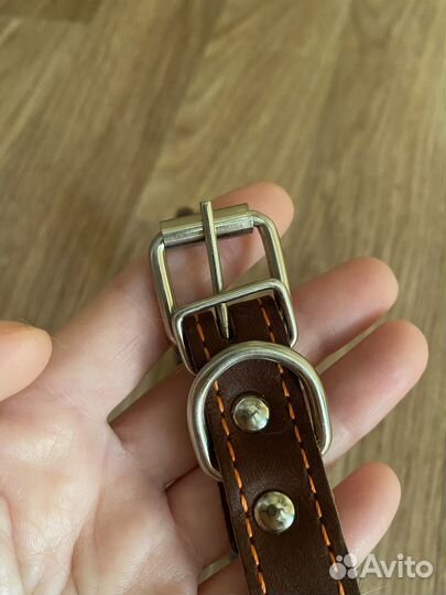 Ошейник для собак