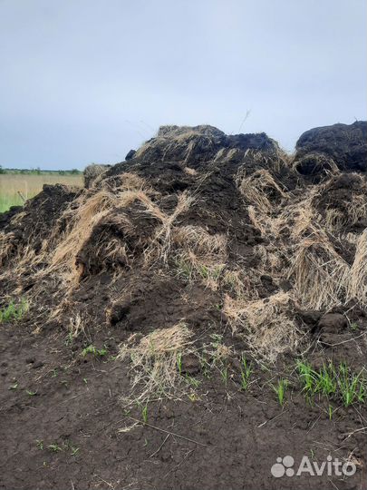 Самовывоз чернозем для дачи дома огорода