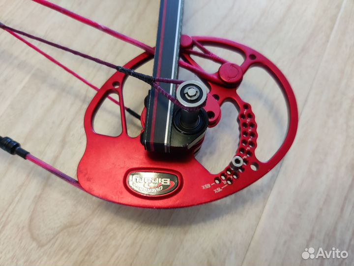 Лук блочный Bowtech specialist