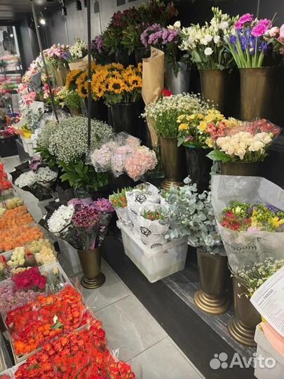 Роза одноголовая букет опт