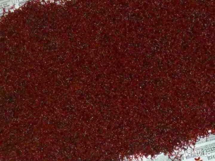 Мотыль кормовой