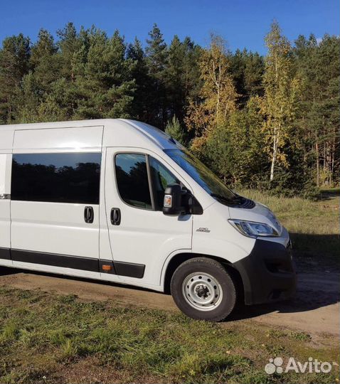 Транспортировка собак россия/европа