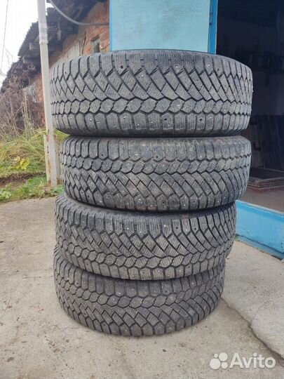 Гисловед норд фрост