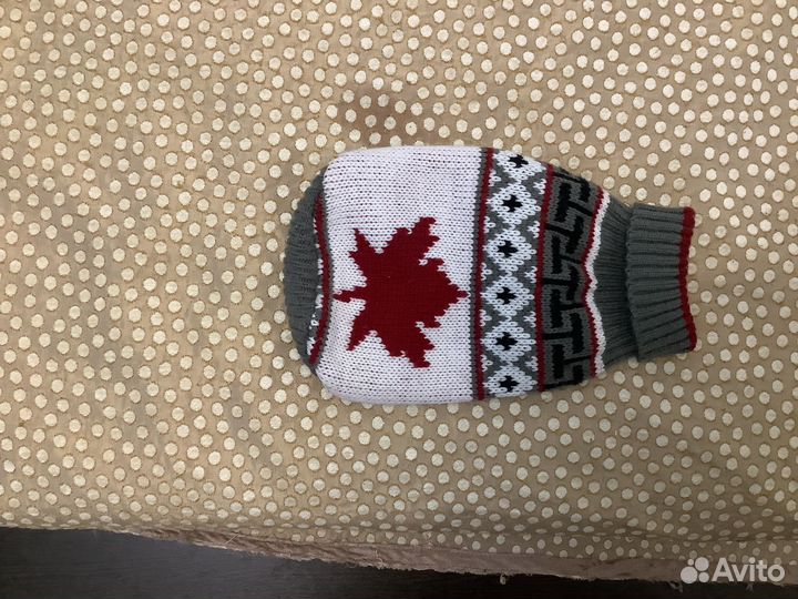 Одежда для маленьких собак или кошек