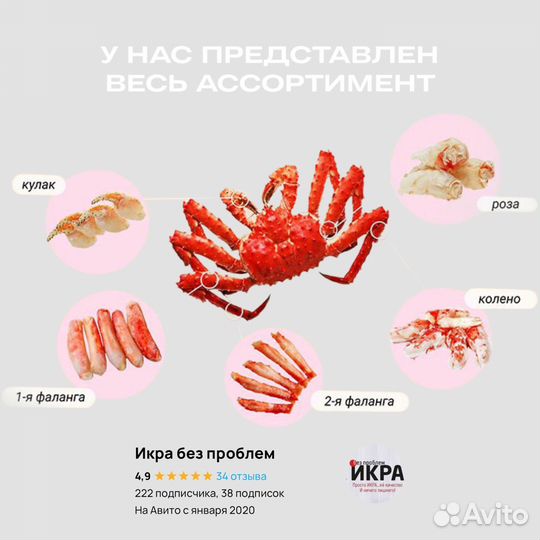 Камчатский краб фаланга