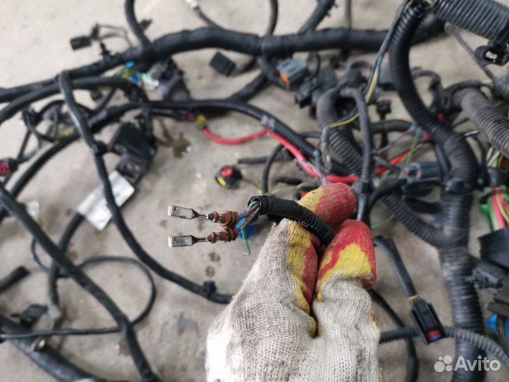 Проводка двс Ford Focus 2 Рестайлинг седан aoda