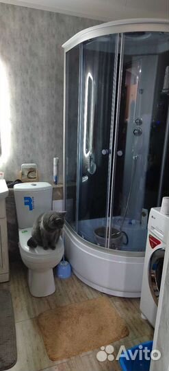 Рыбалка и охота в Астрахани низовья