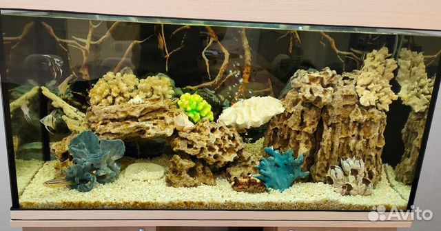 Обслуживание аквариума. Срочный выезд