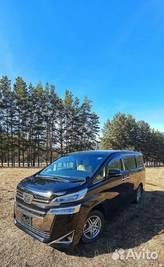 Трансфер, экскурсии туры с личным гидом-водителем