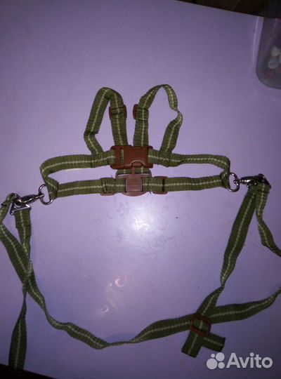 Вожжи для ребенка