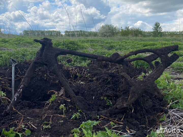 Металлоискатель minelab x terra 705 black edition