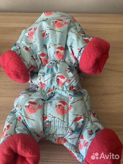 Одежда для собак