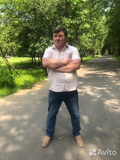 Заявления, жалобы в полицию, прокуратуру, суд и др