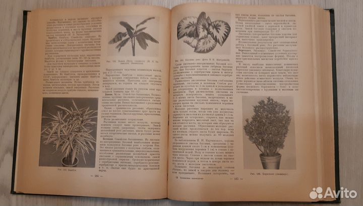 Комнатное садоводство 1956 г