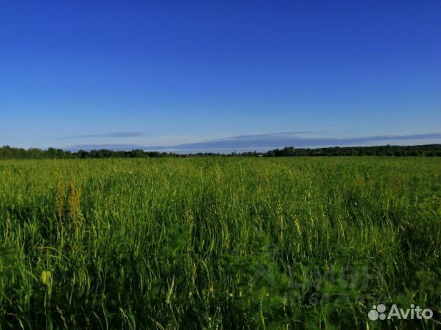 Подбор и оформление земельных участков