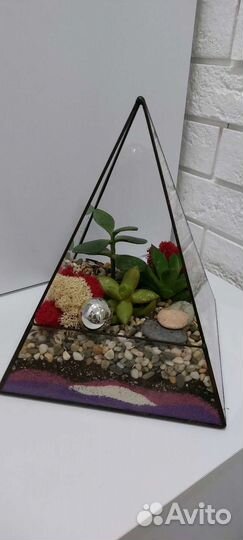Флорариум с суккулентами