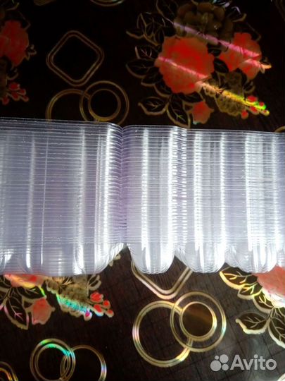 Ячейка для перепелиных яиц