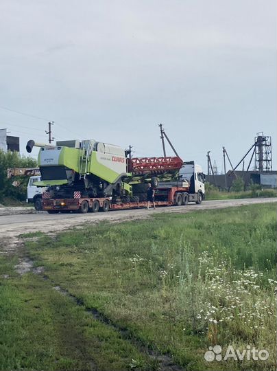 Уборка урожая 2023 класс