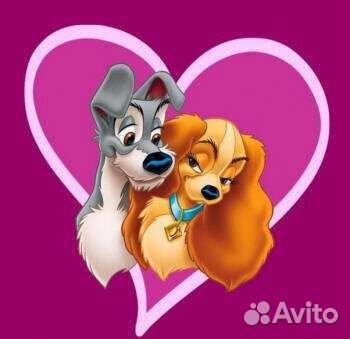 Инструктор по вязке собак