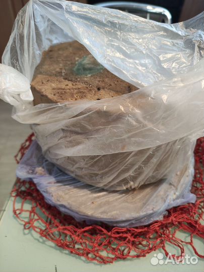 Воск пчелиный