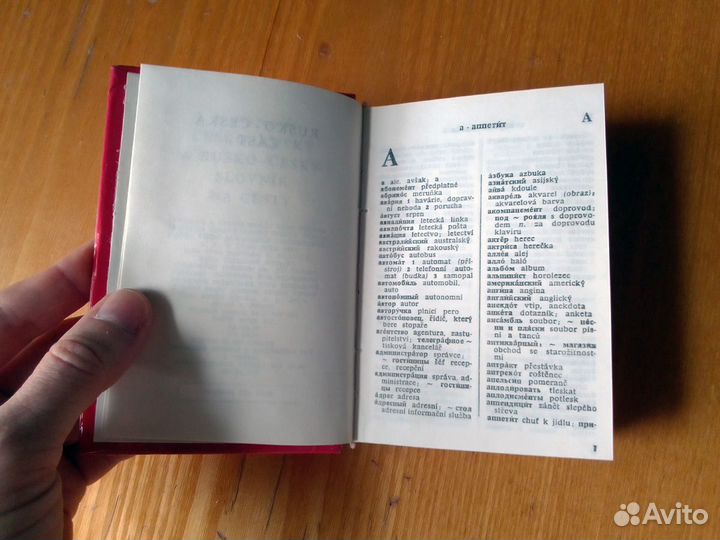 Русско-Чешский Чешско-Русский словарь