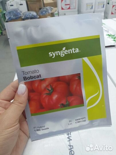 Семена томат Бобкат 1 000с Сингента