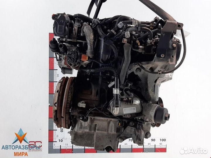 Форсунка Opel Insignia (A) 2010 55566050