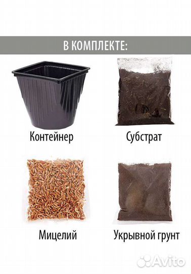 Набор для выращивания шампиньонов