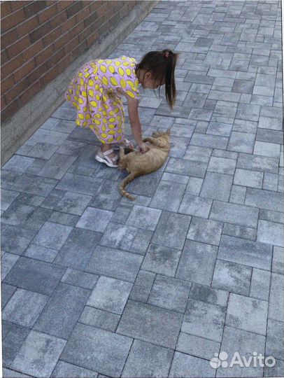 Брусчатка от производителя