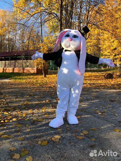 Ростовая кукла Поздравление от зайки