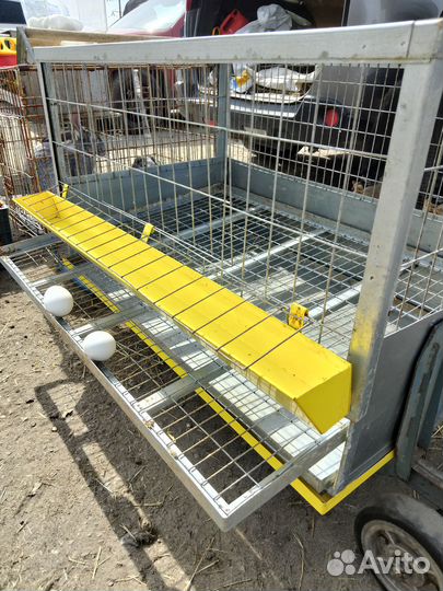 Для кур несушек и бройлера клетка