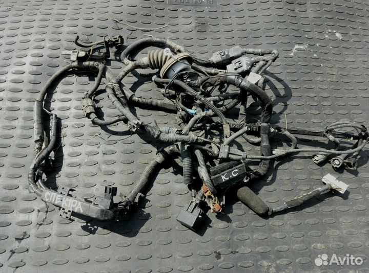 Проводка двигателя киа спектра 1.6