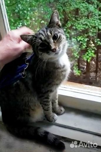 Эти глаза напротив. В поисках счастья