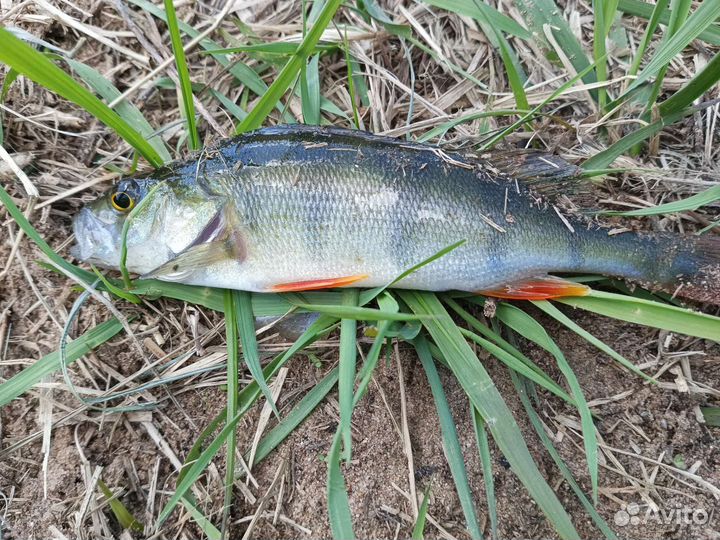 Заготовка для изготовления одноухих мормышек