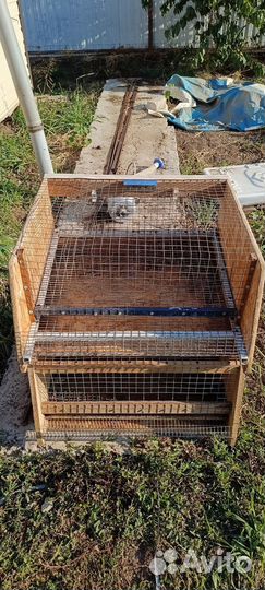 Клетки для перепелов бу