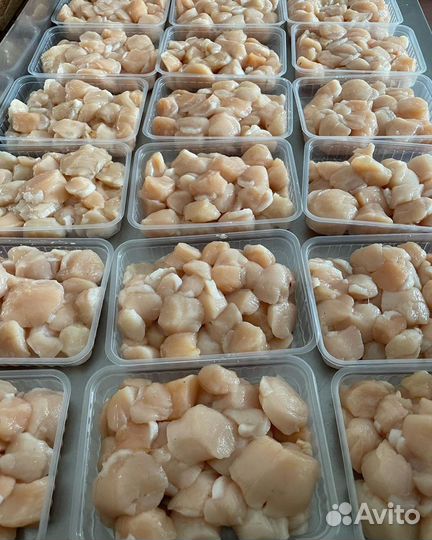 Морской гребешок