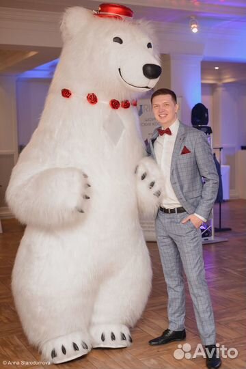 Крутое поздравление медведя с Днём Рождения Юбилей