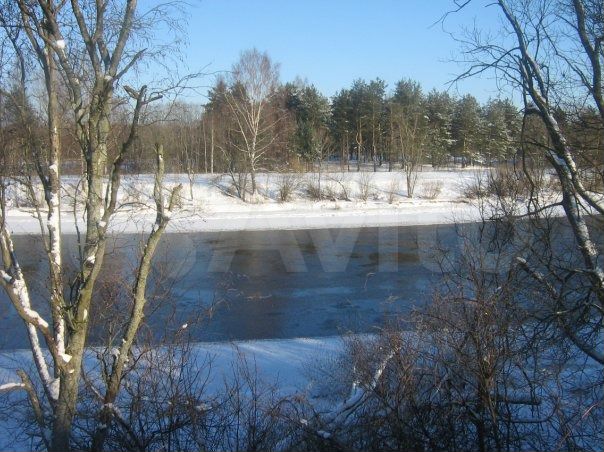 Участок 1,2 га (ИЖС)