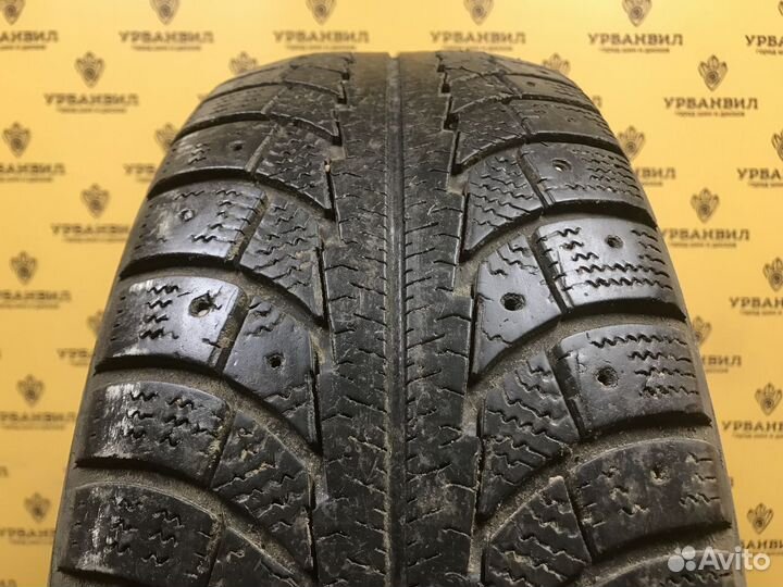 Gislaved Nord Frost 5 195/65 R15 91T