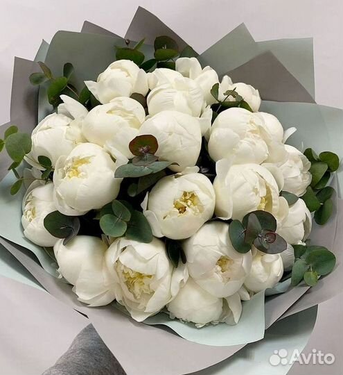 Пионы Розы Доставка