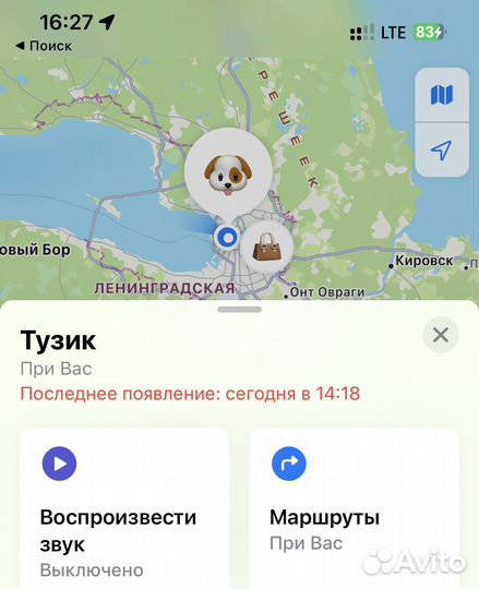 Поисковый маячок для собаки/кошки метка