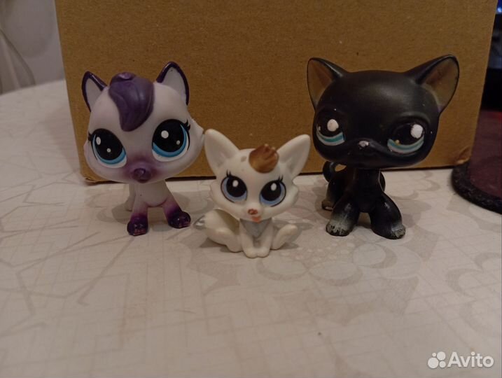 Лпс, хеллоу китти