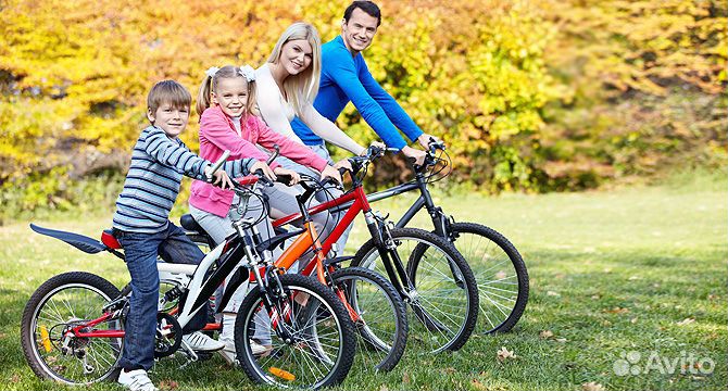 Велосипед BMW LUX cкладной (двухцветный)