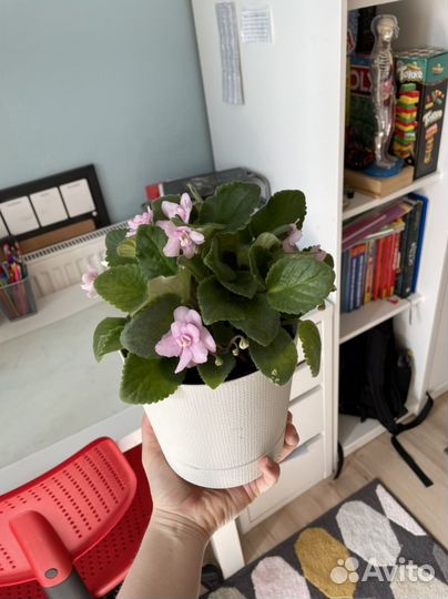 Перевод с и на английский