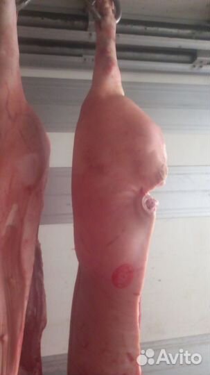 Продажа мяса