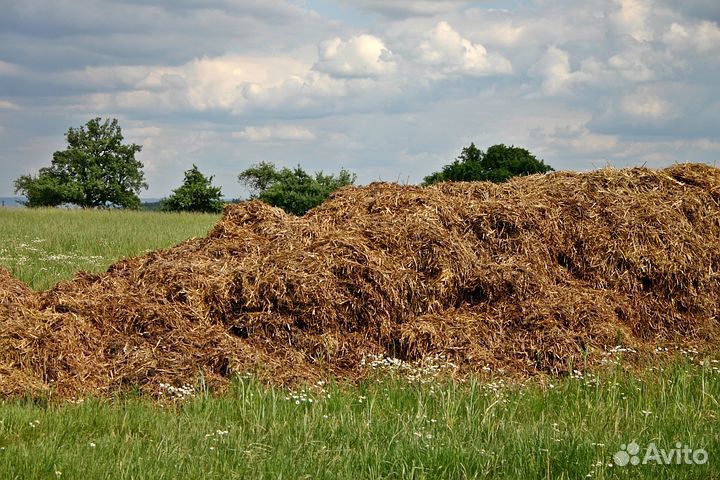 Навоз.Конский, Коровий, Птичий (перегной)