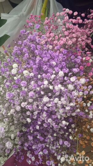 Гипсофила букет цветы