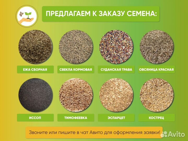 Семена газонной травы садово-парковая