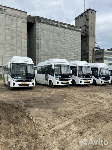 Городской автобус ПАЗ Вектор Next 8.8, 2020 объявление продам